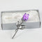 Sliver Purple