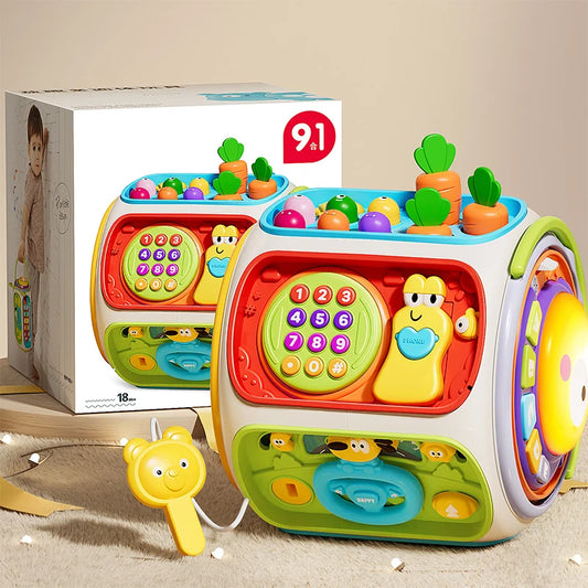 Montessori Sensory Learning Toy