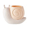 Yellow-Snail